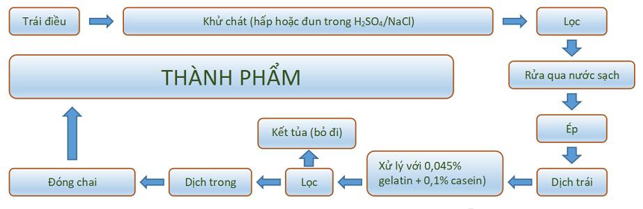 Phương pháp chế biến dịch ép trái điều đục