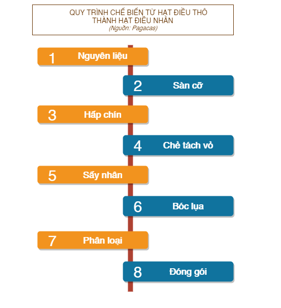 Quy trình sản xuất hạt điều